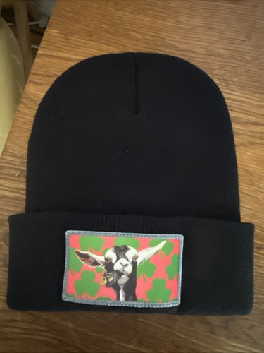 Flyn irish goat - flyn,