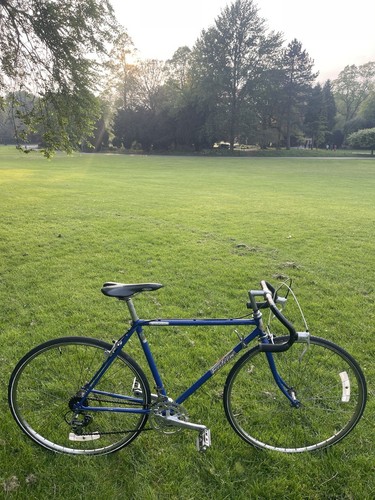Falcon winsor road bike - falcon,