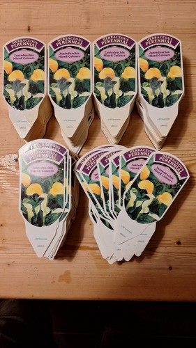 580 plant labels - x,