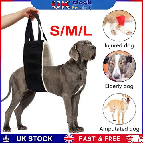 Pets dog mobility - pets,