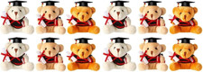 Tofficu 6 Pcs Mini Graduation