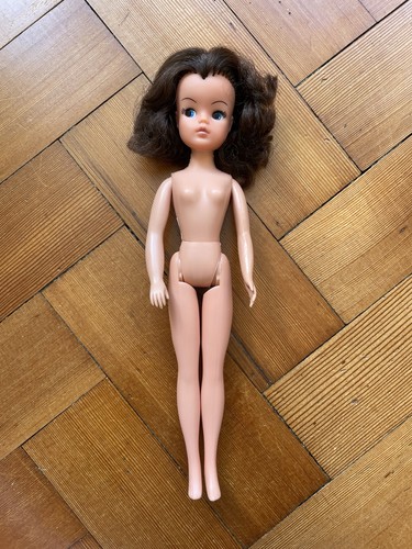 1979 1980s sindy doll - sindy, brunette