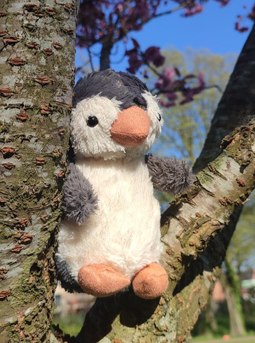 Cute penguin plush soft - penguin, toy