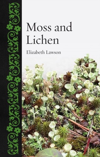 Moss and lichen - moss,