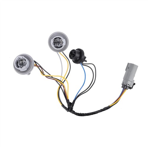 Tail light socket wiring - tail,