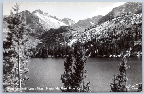 Postcard rppc colorado bear - postcard,