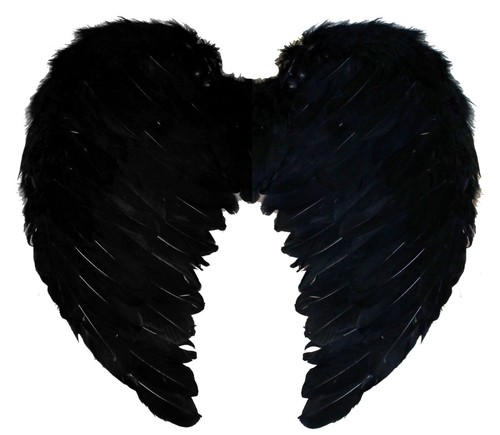 Black feather angel wings - feather,