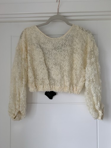 Zara romantic lace crop top - lace,