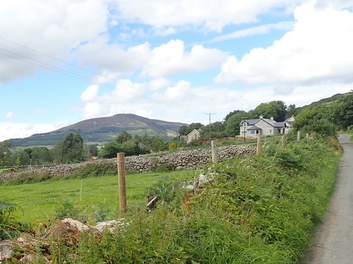 Photo 6x4 pasture land west - land,