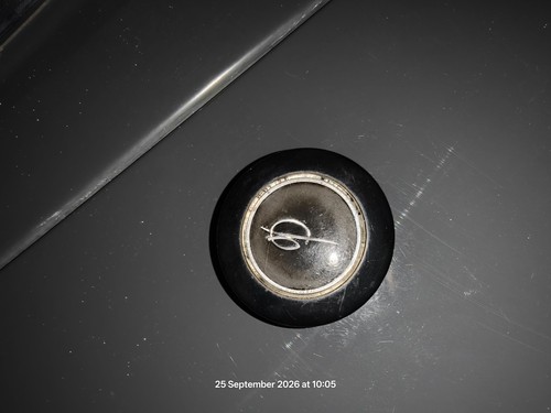 Vanden plas 1100 1300 horn - 1100,