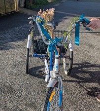 Tricycle adult used - tricycle,