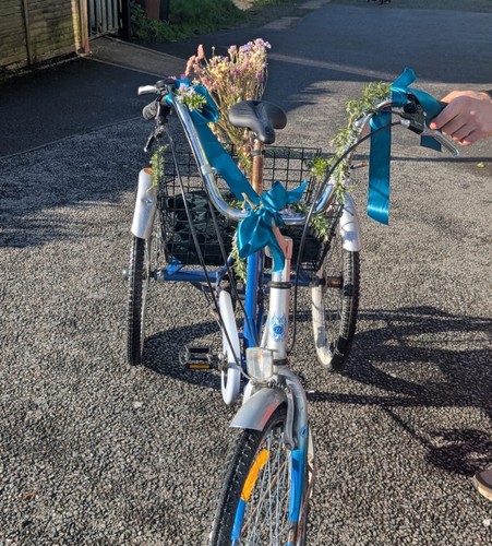 Tricycle adult used - tricycle,