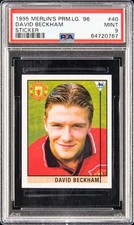 1995 MERLIN'S PREMIER LEAGUE