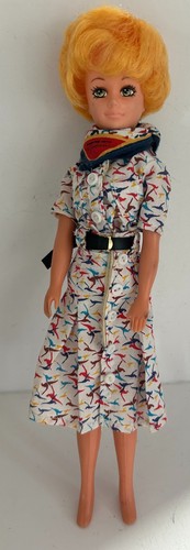Vintage qantas chief flight - vintage,
