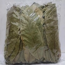 Ceylon Cocoa Leaves – 25-200