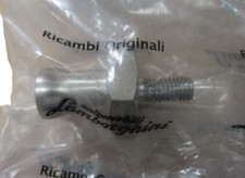 New Genuine Lamborghini