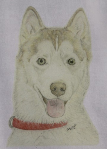Siberian husky shirts 3 - t-shirts,