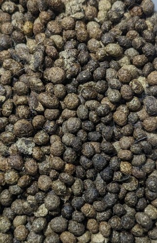 3kg rabbit poo bunny poop - bunny,