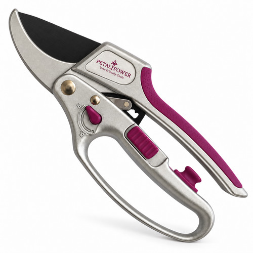 Ladies advanced 1 ratchet - advanced,