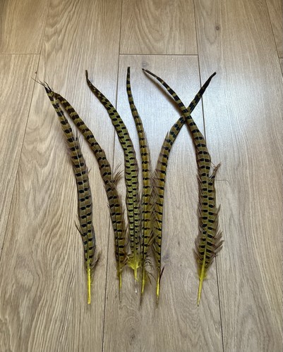 Yellow pheasant tail - pheasant,