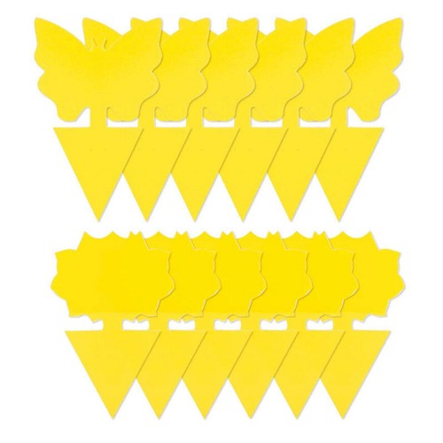 Fly catchers window - fly,