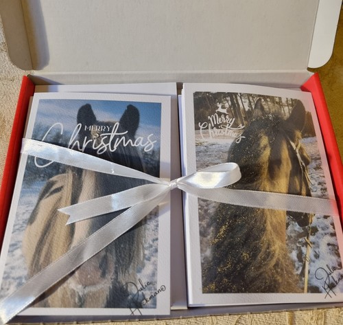 Handmade boxed horse - handmade, 12