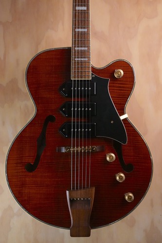 Peerless wizard hollow body - peerless,