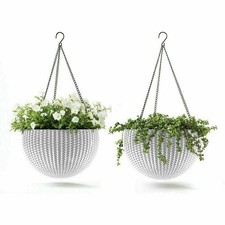 2 x hanging baskets flower