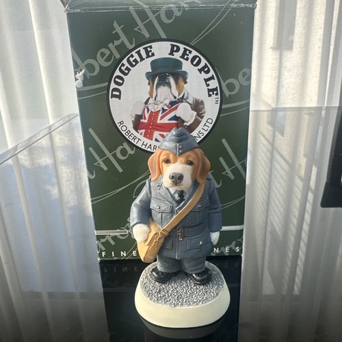 Beagle puppy robert - puppy, dog