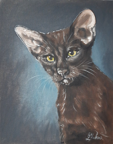 Oriental cat original - original, oil