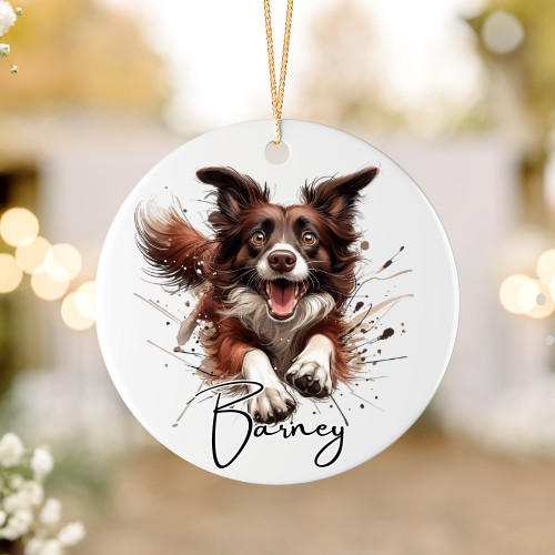 Brown border collie - , dog