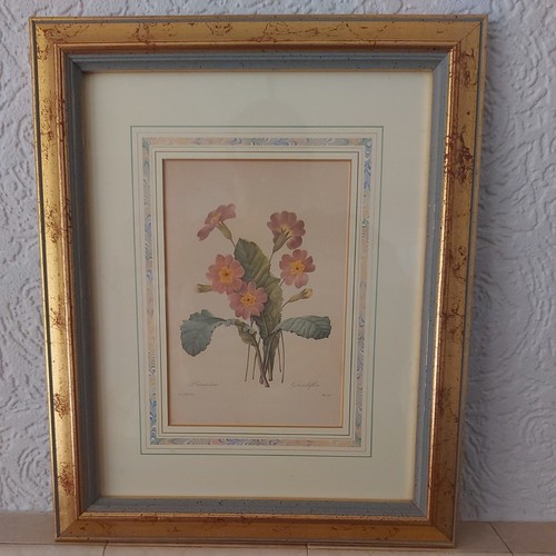The fairest flowers - the,