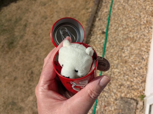 Vintage polar bear inside - polar,