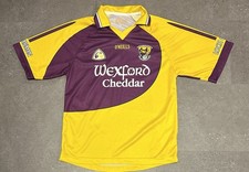 Wexford 2006 neills gaa - wexford, 2006-08