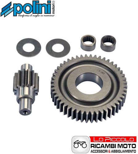 Secondary gear ratios polini - gear,