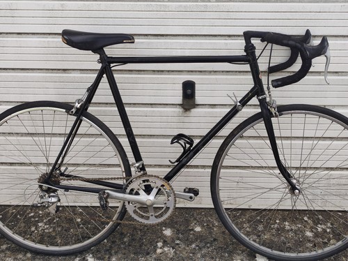 Raleigh record sprint - raleigh,