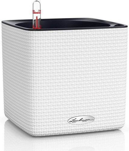 Lechuza self watering plant - lechuza,