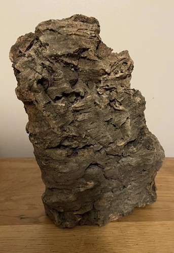 Cork bark flat vivarium - cork,