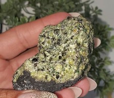 Green Peridot on Basalt Stone