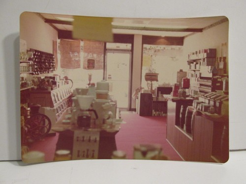 Vintage found photograph color - vintage,