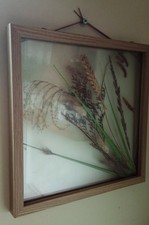 Large Collectors Double Glazed