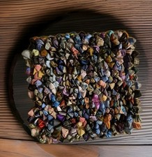 Dreamweavers Shaggy Multicolor