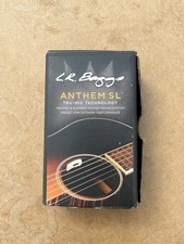 L.R. Baggs M1 Active Soundhole