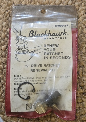 Drive ratchet repair - drive,