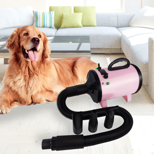 Dog hair dryer - dog, professional