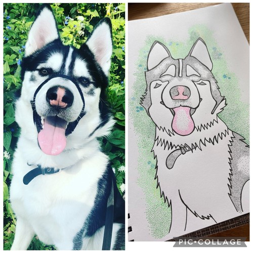 Hand drawn personalised - hand, pet
