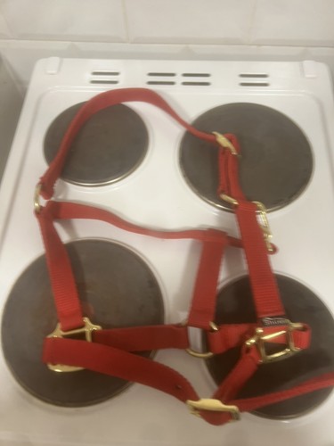 Shires horse riding - shires, headcollar