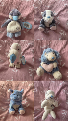 Blue nose friends - , bundle