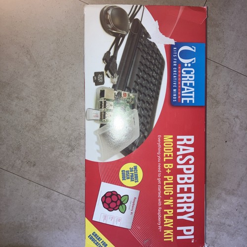Raspberry model plug - raspberry,