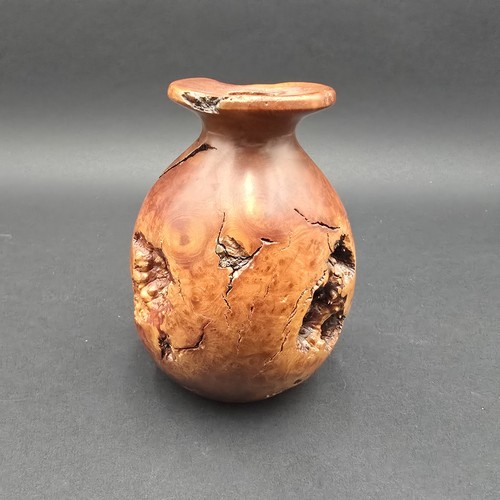 California manzanita burl wood - california,
